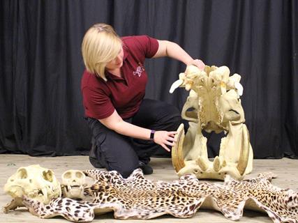 Colchester Zoological Society school presentation