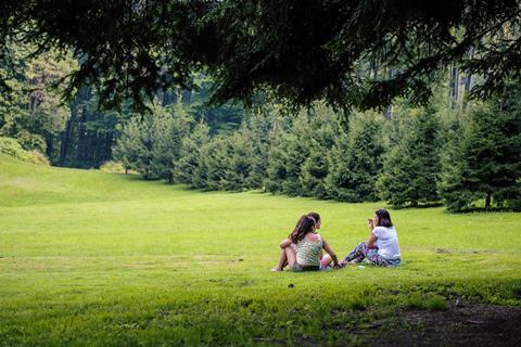 Teenagers in nature