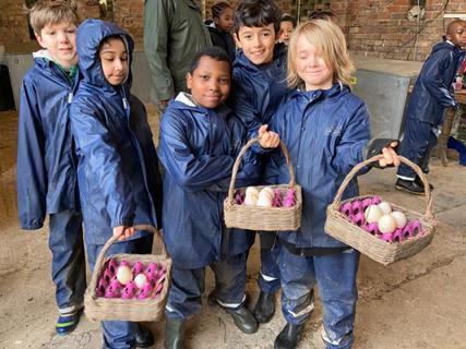 Children collect eggs during a stay at one of the Farms for City Children farms