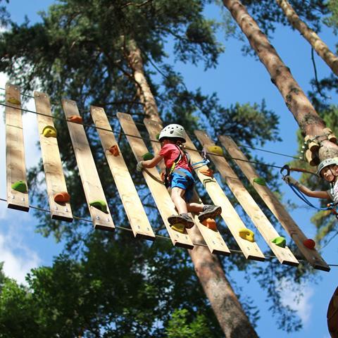 School children on a set of high ropes