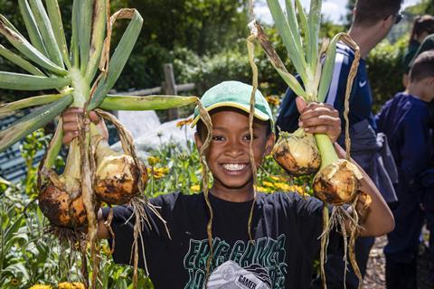 A young boy holds up giant onions at Farms for City Children's Wick Court Farm in Gloucestershire