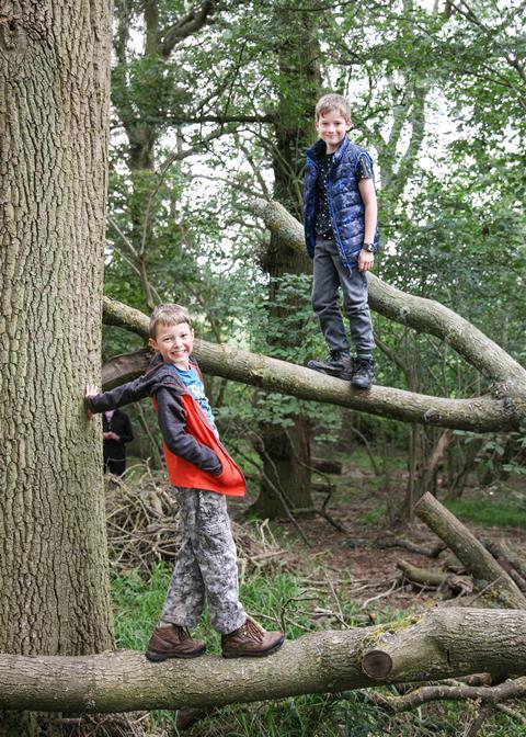 Tree climbing