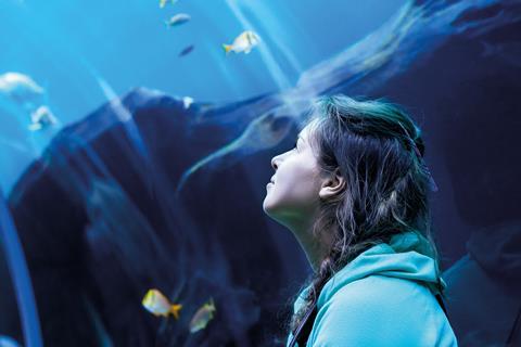 Teenager visiting an Aquarium