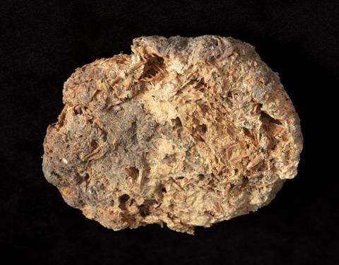 This small loaf, found in the tomb of an Egyptian queen, is over 3500 years old.