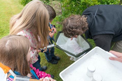 FSC primary pupils explore nature outdoors