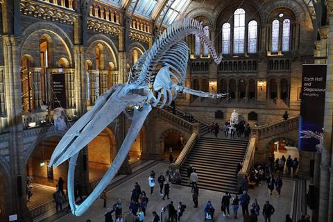 Natural History Museum, London