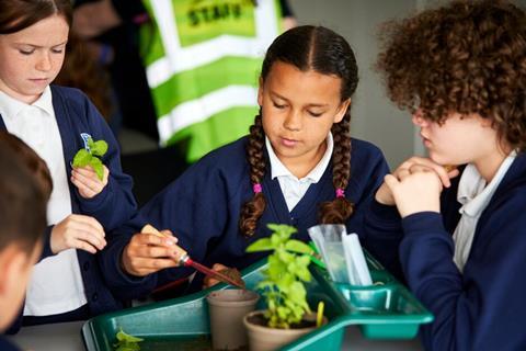 Pupils doing planting