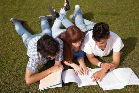 Pupils Learning Outside