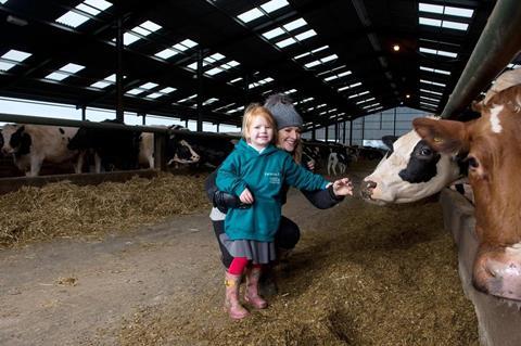 Child with a cow