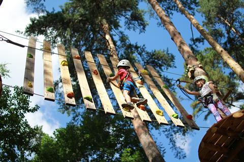 School children on a set of high ropes