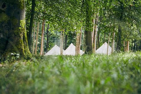 Bushcraft Company come to Blenheim