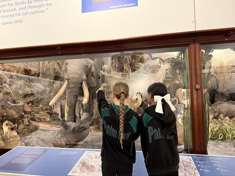 Powell-Cotton Museum school visit