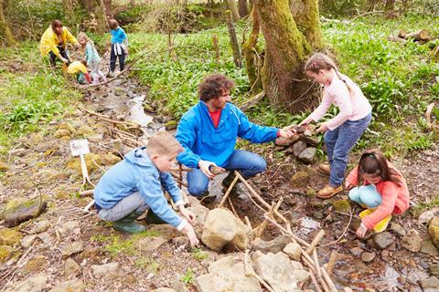 Pond dipping