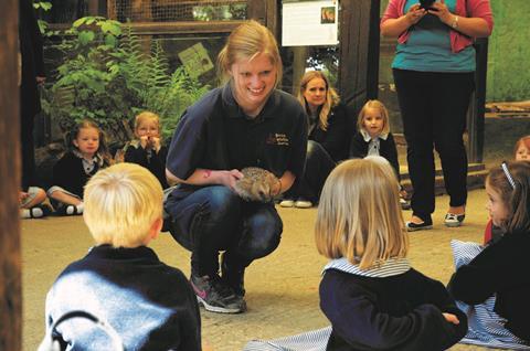A member of staff shows children a hedgehog at the British Wildlife Centre, Surrey