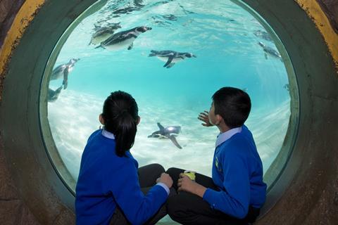 ZSL London Zoo's Penguin Beach enclosure