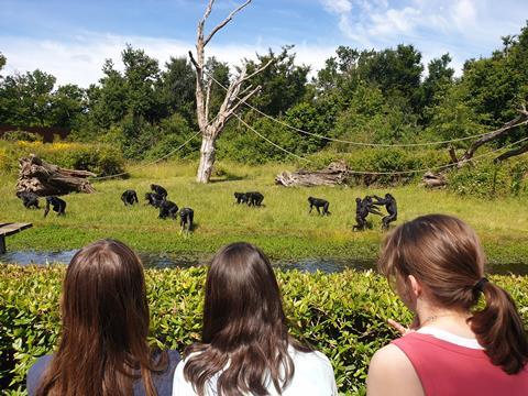 Pupils from King Edward's School Witley enjoy a visit to a monkey sanctuary