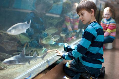 The National Marine Aquarium