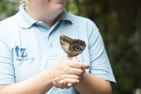 Butterfly Walk at Twycross Zoo