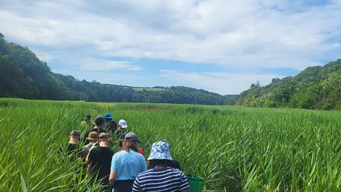 Estuary Hike at The Bioasis