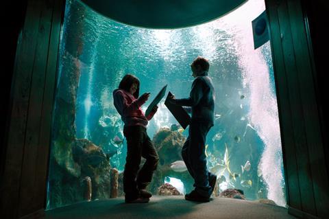 Children at the Blue Reef Aquarium 