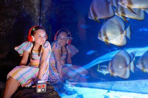 Girl with headset looking into underwater exhibit