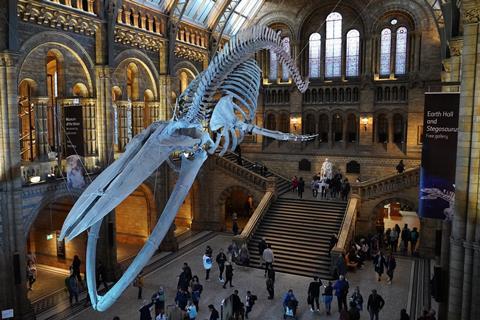 Natural History Museum