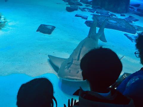 St Stephen’s CE Primary School at SEA LIFE