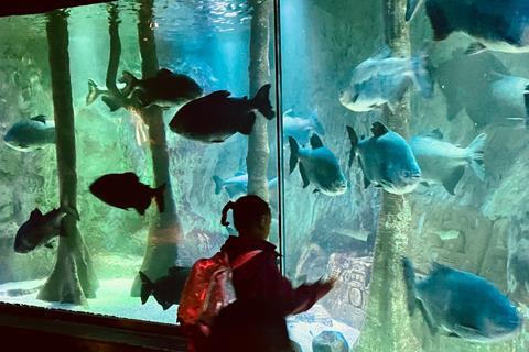 St Stephen’s CE Primary School at SEA LIFE