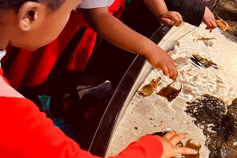 Pupils from St Stephen’s CE Primary School at SEA LIFE