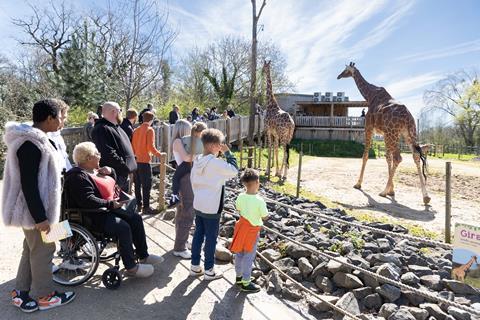 Visitors at the giraffe habitat at Bristol Zoo Project.