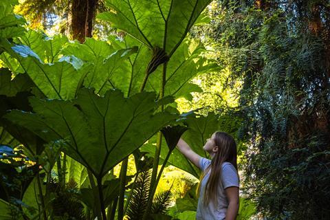 The Lost Gardens of Heligan