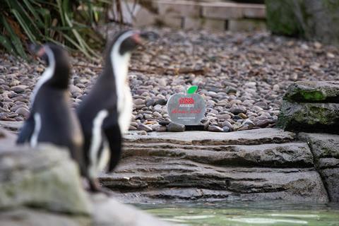 Animals at Chester Zoo got up-close to their new School Travel Award