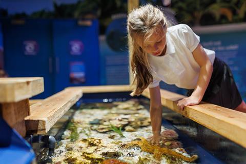 A girl puts her hand into a tank at a SEA LIFE Centre