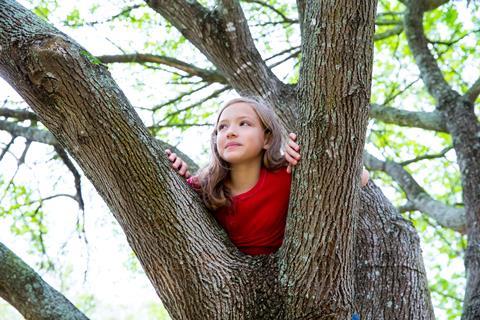 Climbing trees