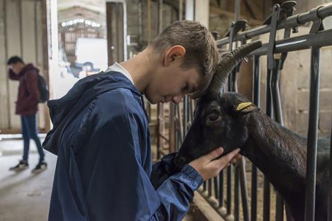 Goats Cheese Farm 