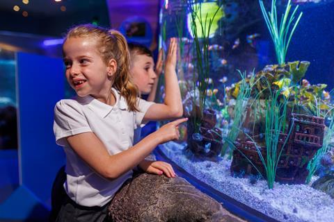 Children point at creatures in a tank at one of the SEA LIFE centres.