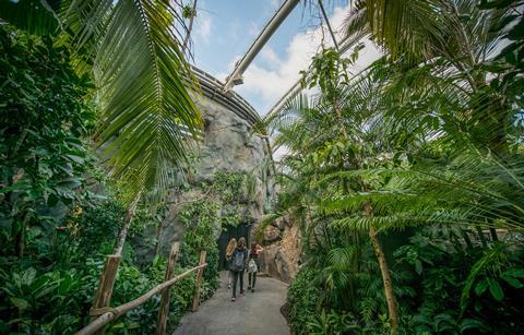 Monsoon Forest at Chester Zoo.