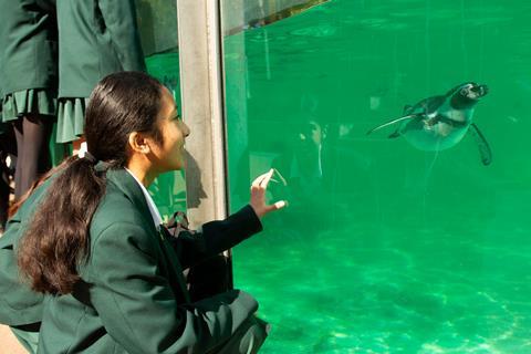 Students from St Marylebone School at London Zoo during visit