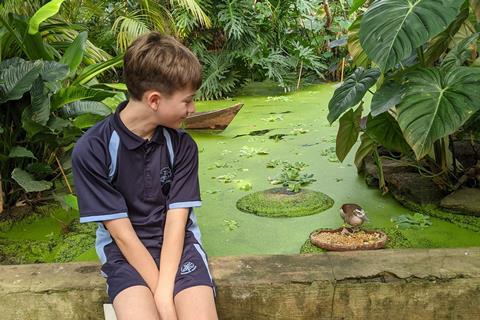 A school boy looks at an animal at the Living Rainforest.