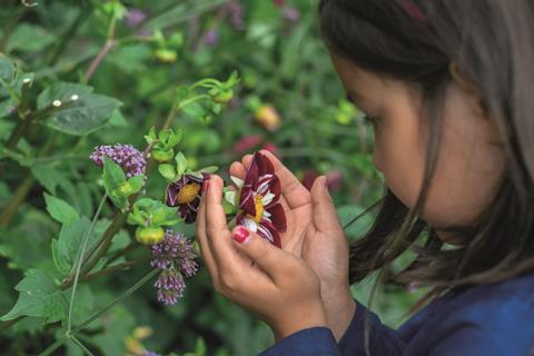 Children exploring nature