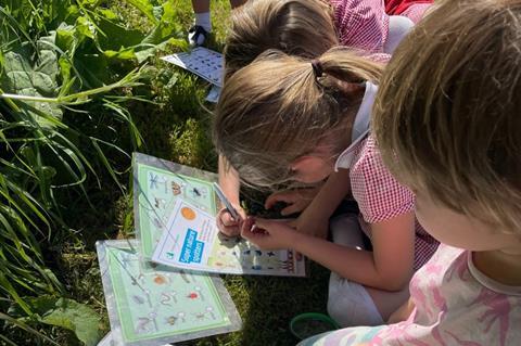 School children at Fairytale Farm