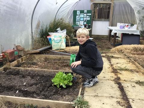 Student in the allotment at St John's C of E School
