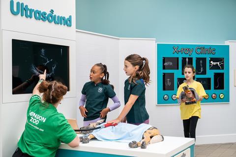 ZooTown team lead Lucy, Alana, Florence and Isabella in ZooTown.