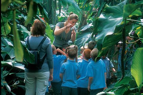 The Living Rainforest School tour