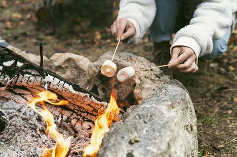 Toasting marshmallows on a campire