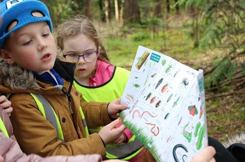 Young children on a school trip look at a bug identification map out in the woods