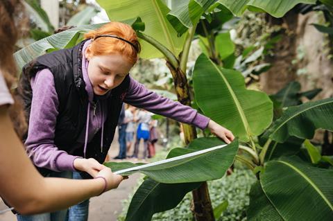 School children at the Eden Project