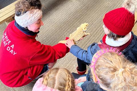 Pupils meeting a bearded dragon