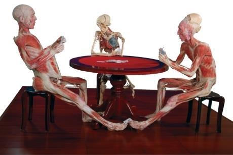 A display at BODY WORLDS