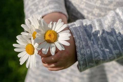 Picking flowers